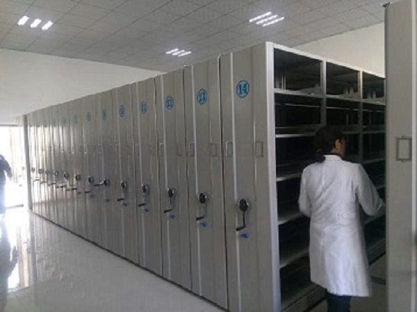 档案蜜桃AV噜噜一区二区三区小说架
